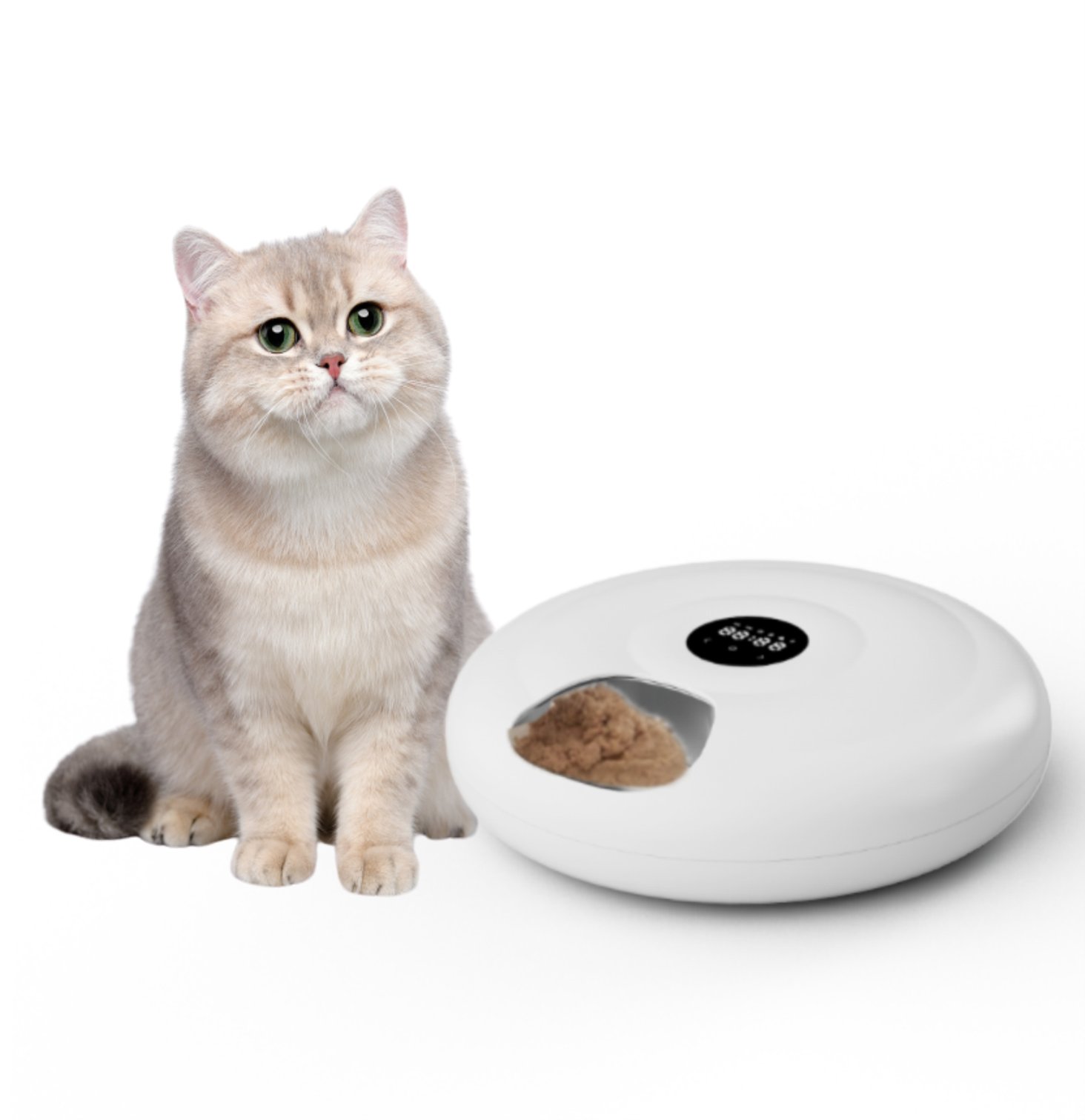 F5 Wet Food Feeder - image 4