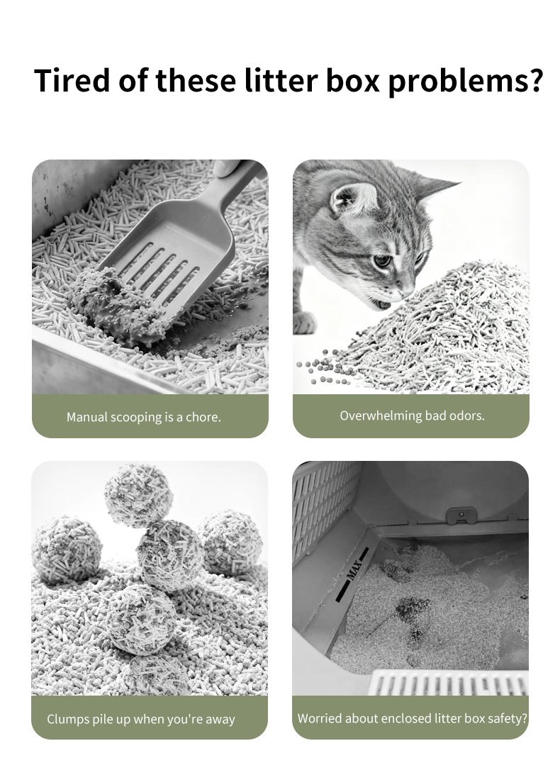 4075B Open-Top Litter Box Series - image 11