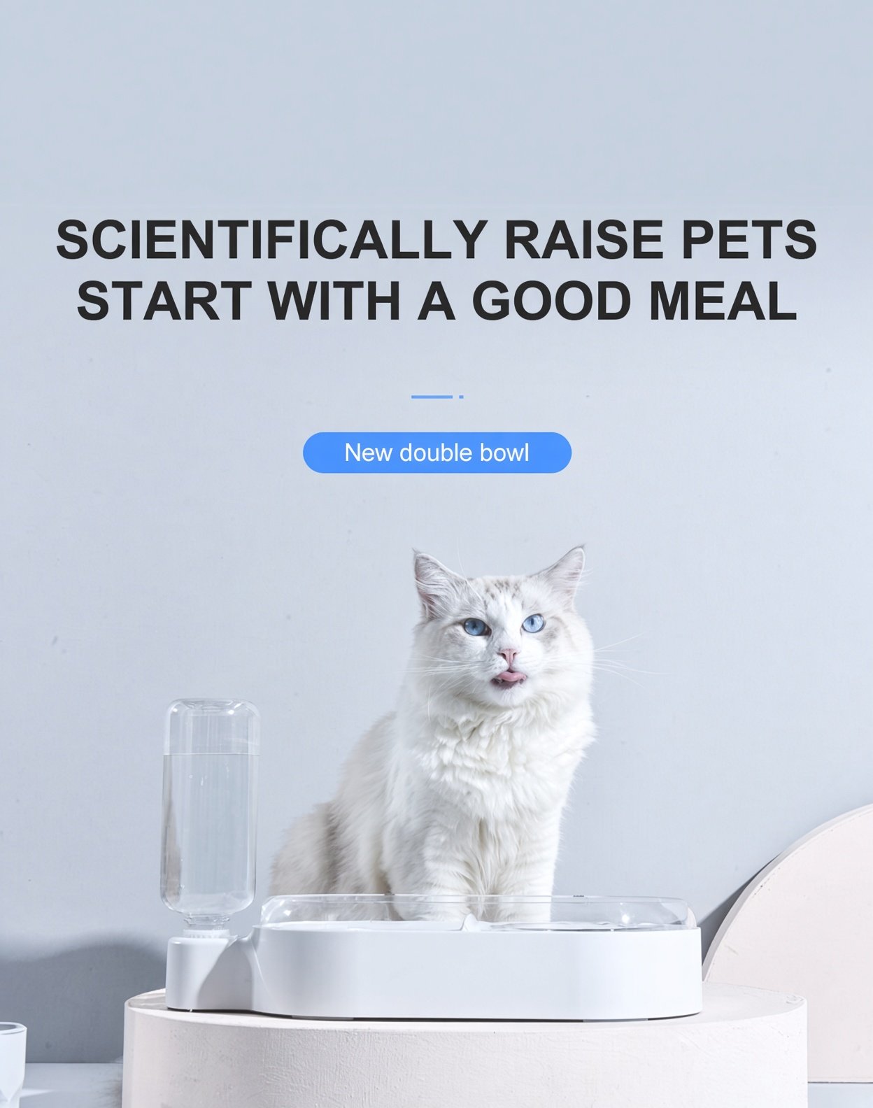 Double Food and Water Bowls