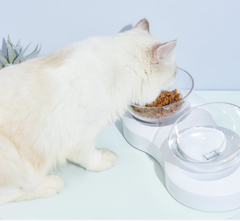 Future Cat Feeding Bowl - image 12